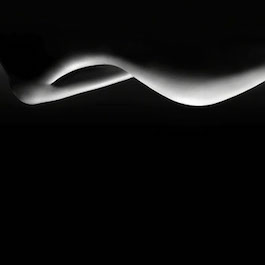 Artwork by Dominique Poilpré